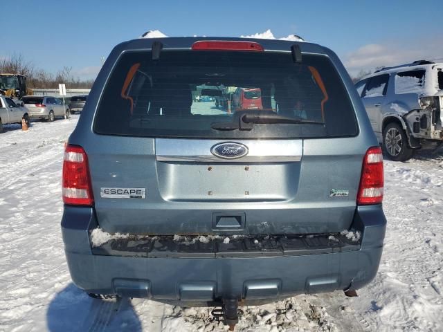 2010 Ford Escape Limited