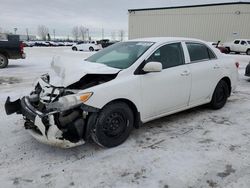 Salvage cars for sale from Copart Rocky View County, AB: 2011 Toyota Corolla Base