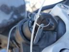 2024 Triumph Street Triple 765 RS