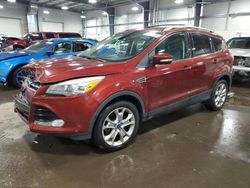 2014 Ford Escape Titanium for sale in Ham Lake, MN