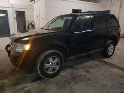 2012 Ford Escape XLT for sale in Northfield, OH