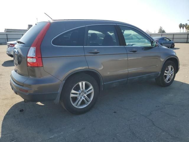 2010 Honda CR-V EXL