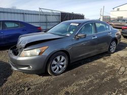 Honda Accord salvage cars for sale: 2009 Honda Accord EXL