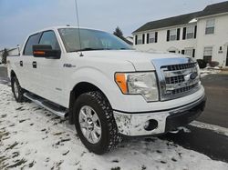 2014 Ford F150 Supercrew for sale in Columbus, OH