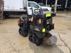 2013 Diwi Trencher