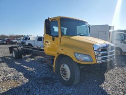 2023 Hino Hino L6 for sale in Memphis, TN