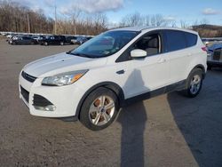 2015 Ford Escape SE for sale in Marlboro, NY