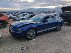 Ford salvage cars for sale: 2014 Ford Mustang