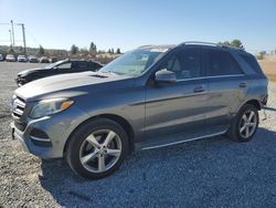 Mercedes-Benz salvage cars for sale: 2017 Mercedes-Benz GLE 350