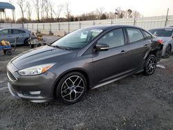 Ford Focus salvage cars for sale: 2016 Ford Focus SE