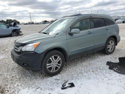 Salvage cars for sale from Copart Temple, TX: 2010 Honda CR-V EXL