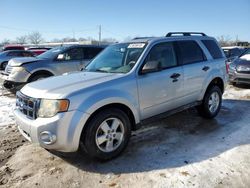 Salvage cars for sale from Copart Louisville, KY: 2010 Ford Escape XLT
