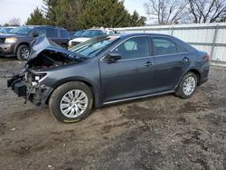 Toyota Camry l salvage cars for sale: 2014 Toyota Camry L