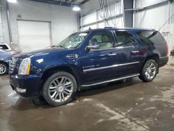 Cadillac Escalade salvage cars for sale: 2008 Cadillac Escalade ESV