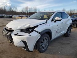 Lexus nx salvage cars for sale: 2019 Lexus NX 300 Base