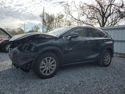 Lexus nx 300 Base salvage cars for sale: 2019 Lexus NX 300 Base