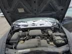 2004 Dodge Dakota SXT