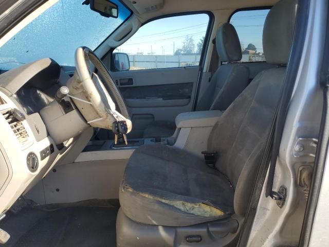 2009 Ford Escape XLT