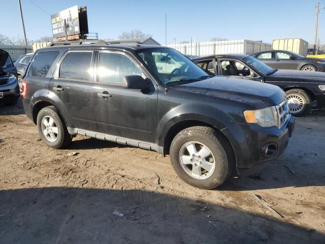 2011 Ford Escape XLT