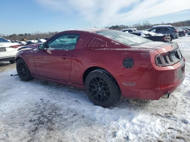 2014 Ford Mustang