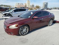 Nissan Maxima salvage cars for sale: 2010 Nissan Maxima S