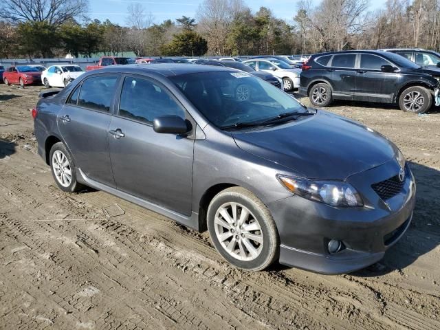 2010 Toyota Corolla Base