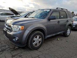 Ford salvage cars for sale: 2012 Ford Escape XLT