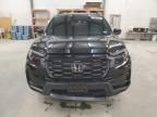 2023 Honda Passport Trail Sport