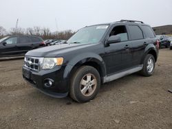 2012 Ford Escape XLT for sale in New Britain, CT