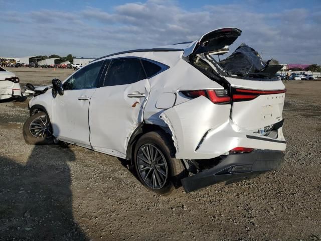 2024 Lexus Nx 350h Base