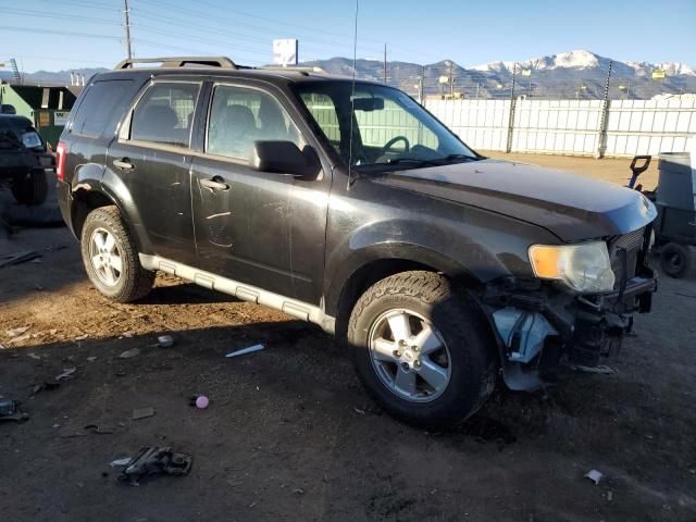 2009 Ford Escape XLT