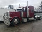 2021 Peterbilt 389