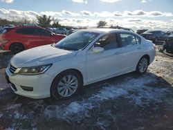 Honda salvage cars for sale: 2013 Honda Accord EXL