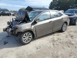 Toyota salvage cars for sale: 2018 Toyota Corolla L