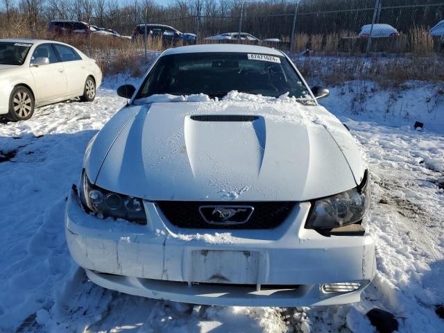 2000 Ford Mustang