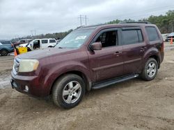 2010 Honda Pilot EXL for sale in Greenwell Springs, LA