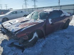 Dodge Challenger salvage cars for sale: 2019 Dodge Challenger R/T