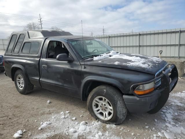 2004 Dodge Dakota SXT