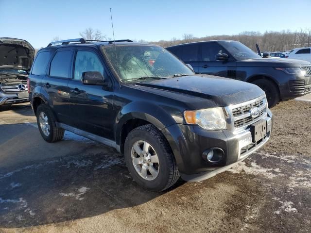 2011 Ford Escape Limited