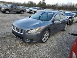 2014 Nissan Maxima S en venta en Memphis, TN