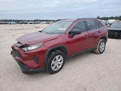 Toyota rav4 salvage cars for sale: 2019 Toyota Rav4 LE