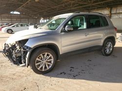 Volkswagen salvage cars for sale: 2015 Volkswagen Tiguan S