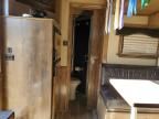 2019 Cima Horse Trailer