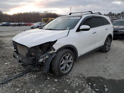 KIA salvage cars for sale: 2019 KIA Sorento EX