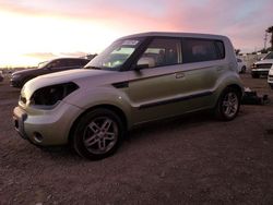 Vehiculos salvage en venta de Copart San Diego, CA: 2010 KIA Soul +