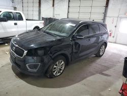 2016 KIA Sorento LX for sale in Lexington, KY