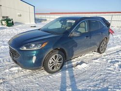 Ford Escape salvage cars for sale: 2020 Ford Escape SEL