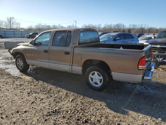 2000 Dodge Dakota Quattro