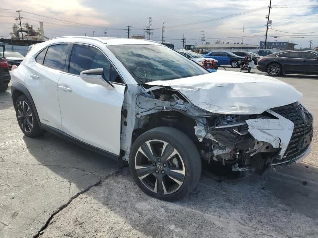 2019 Lexus UX 250H