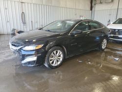 Chevrolet salvage cars for sale: 2019 Chevrolet Malibu LT